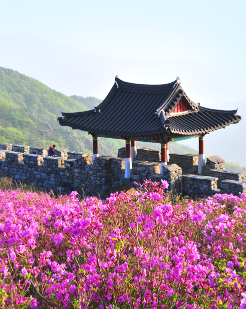 차황면 사진