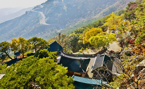 신등면